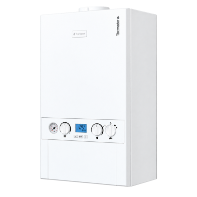 Caldera Condensación Thermor Logic Micro 24 y 30 | Clase A